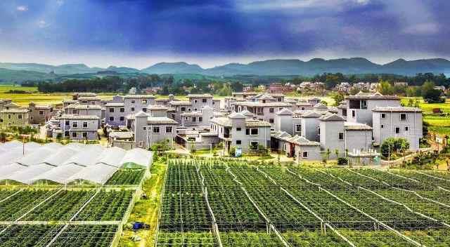 沁阳县张店镇新闻头条,聚焦发展新篇章，共绘乡村振兴美好蓝图